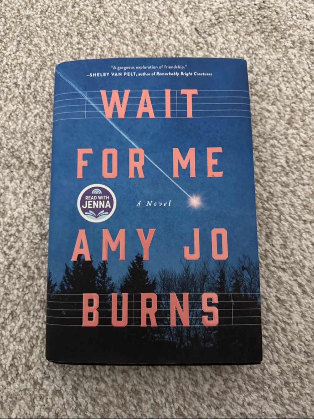 Wait For Me Hardcover Book By Amy Jo Burns